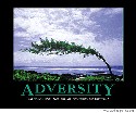 adversity.jpg